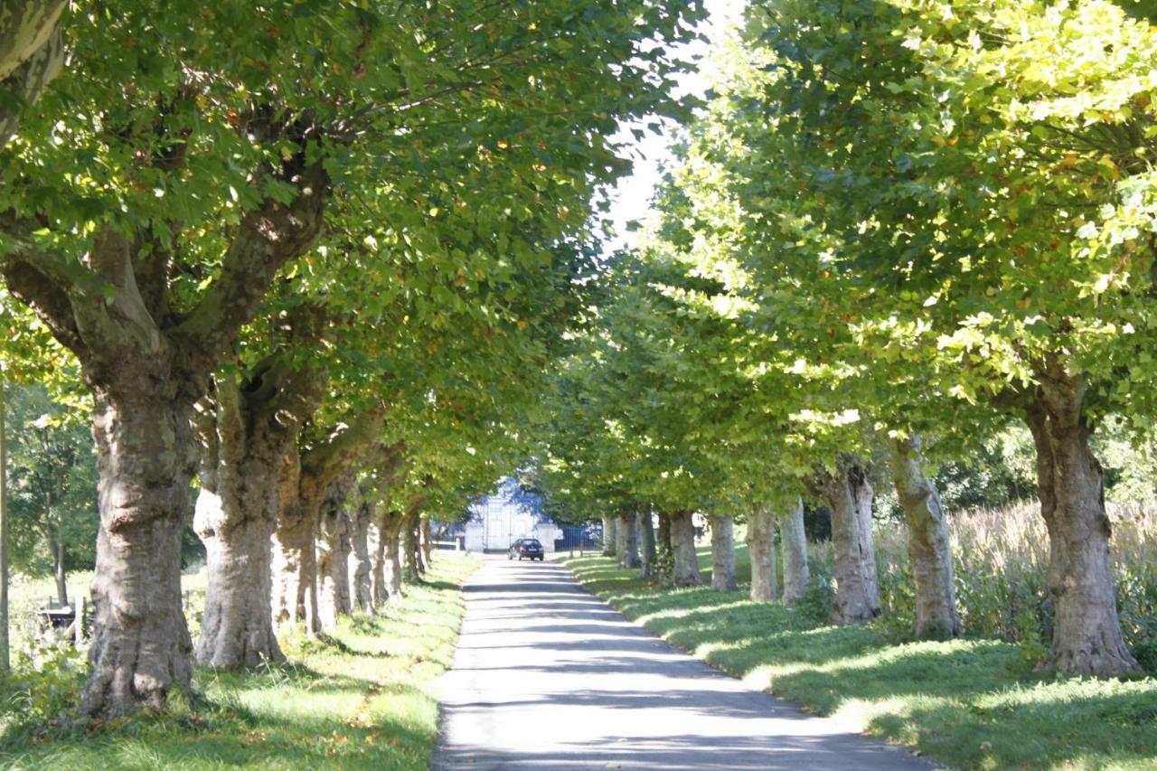 Avenue Du Chateau Saint-Just  Kültér fotó